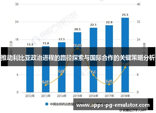 推动利比亚政治进程的路径探索与国际合作的关键策略分析