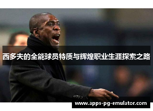 西多夫的全能球员特质与辉煌职业生涯探索之路