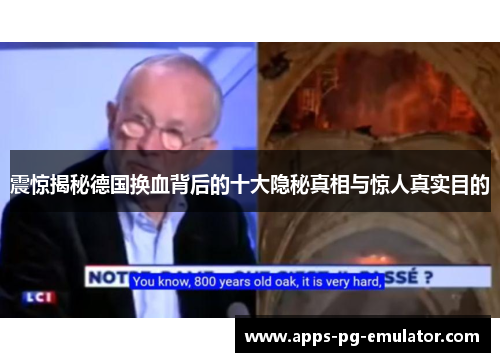 震惊揭秘德国换血背后的十大隐秘真相与惊人真实目的