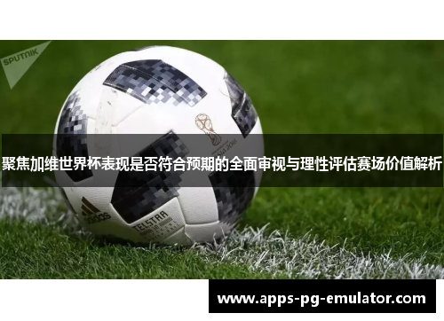 聚焦加维世界杯表现是否符合预期的全面审视与理性评估赛场价值解析
