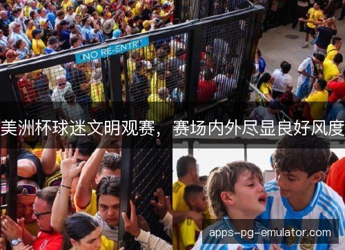 美洲杯球迷文明观赛，赛场内外尽显良好风度