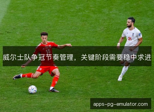 威尔士队争冠节奏管理，关键阶段需要稳中求进
